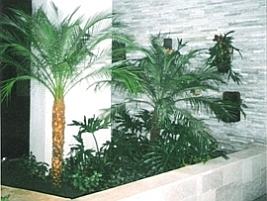 Jardim em condomínio