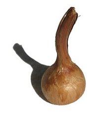Cormo de Babiana