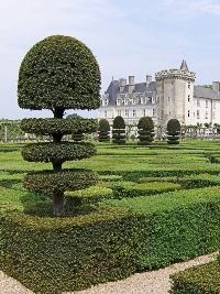 Jardim Francês