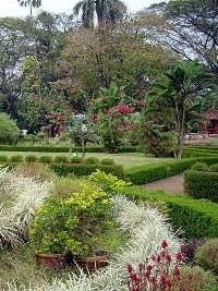 Jardim Indiano