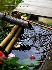 Jardim Japonês
