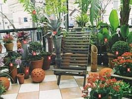 Jardim Pequeno