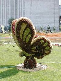 Topiaria Stuffed