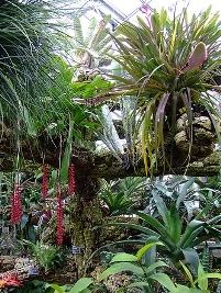 Jardim tropical