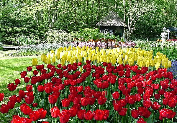 Os maciços e canteiros do Parque Keukenhof na Holanda. Foto de Tom Jutte
