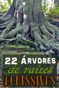 Foto de Tim Green