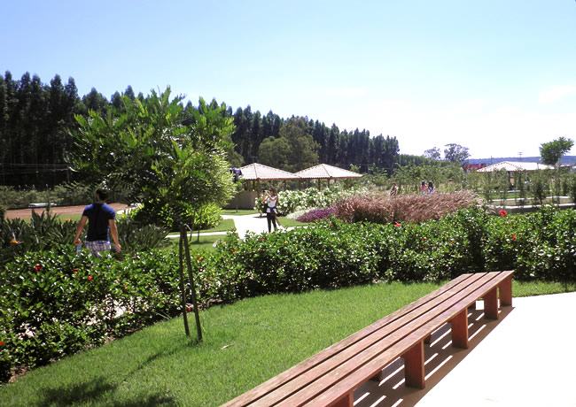 Jardim para os funcionários - Veiling Holambra