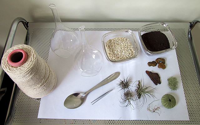 Passo 1: Separe todos materiais para o seu terrário suspenso. Neste tutorial usaremos uma concha, pedras e líquen natural como adornos.