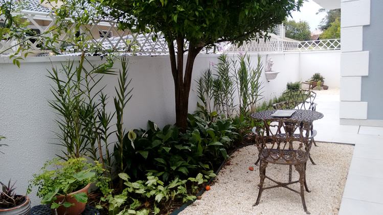 Mesmo pequenos espaços, em corredores por exemplo, podem ser jardins para dar uma pausa no dia a dia e recuperar as energias.  Projeto Claudia Canales Paisagismo. Foto arquivo pessoal.