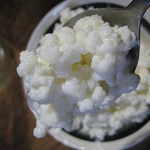 Os grãos de kefir. Foto de luxomedia