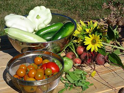 Uma colheita farta e recompensadora. No seu jardim, você pode cultivar além dos vegetais comuns, variedades raras e difíceis de encontrar. Foto de B.D.'s World