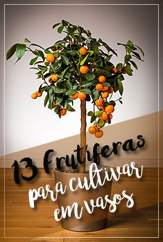 Adicione ao Pinterest! Foto de Paulo D.