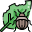 pragas