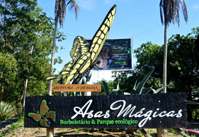 Borboletário Asas Mágicas