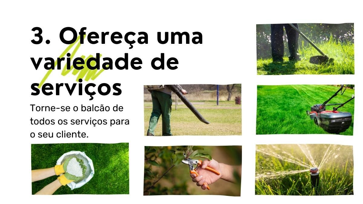 Diversos serviços que uma empresa de jardinagem pode prestar