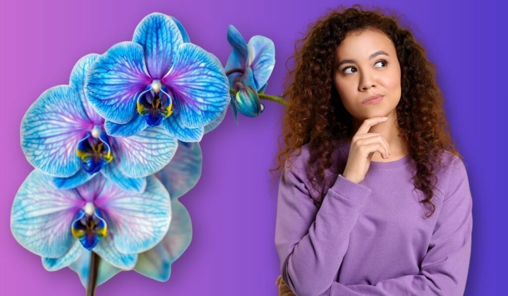 Moça pensando sobre os tipos de orquídeas com falenópsis ao fundo