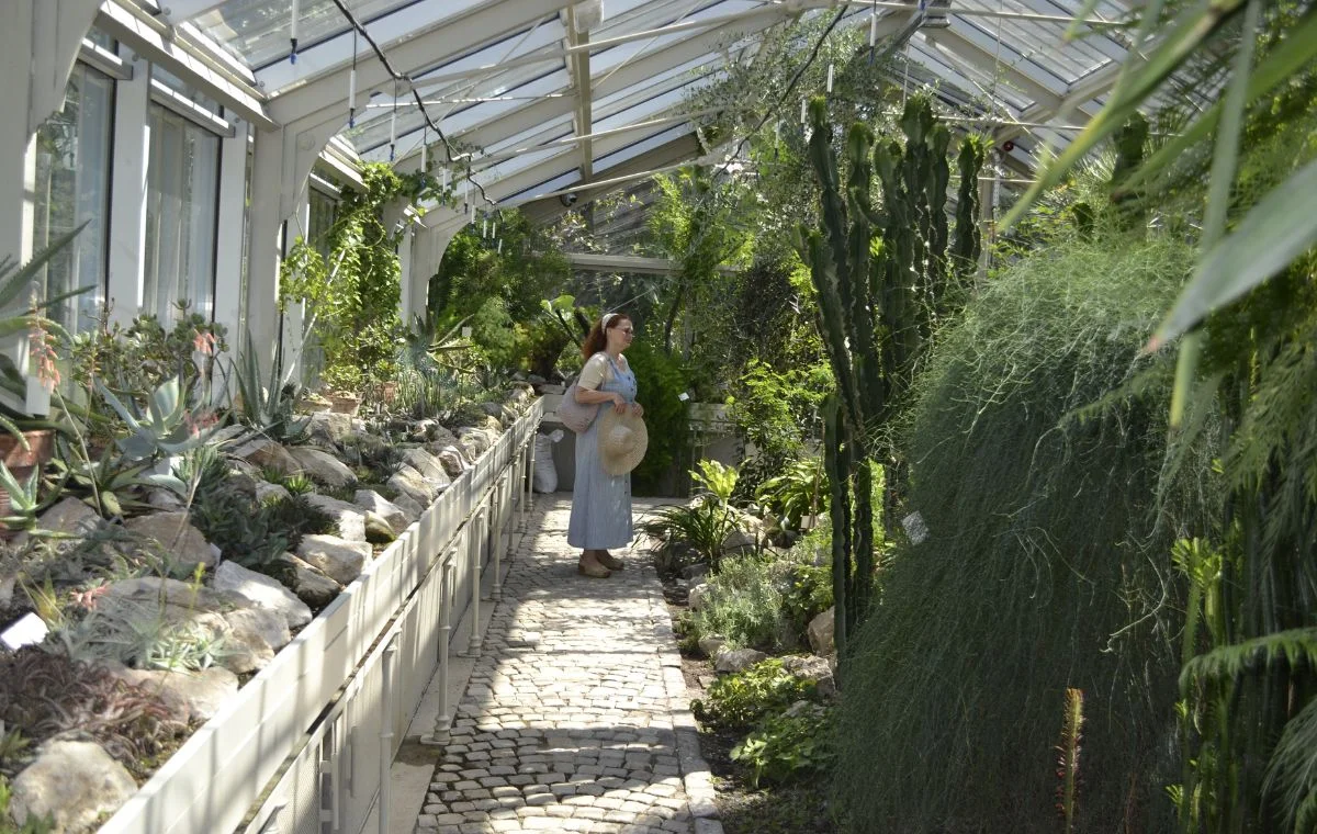 Estufa no jardim botânico de Belgrado